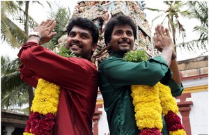 Kedi Billa kiladi Ranga Movie Stills